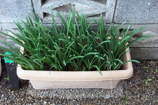 f:id:takahikonojima:20211022070616j:plain