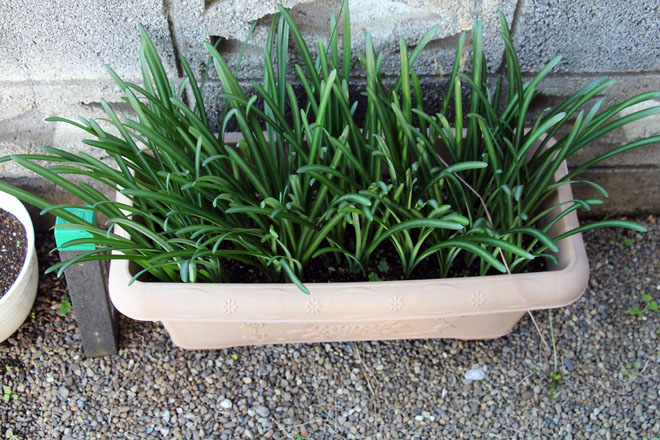 f:id:takahikonojima:20211024071051j:plain