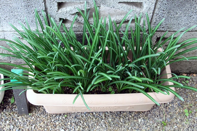 f:id:takahikonojima:20211027150055j:plain