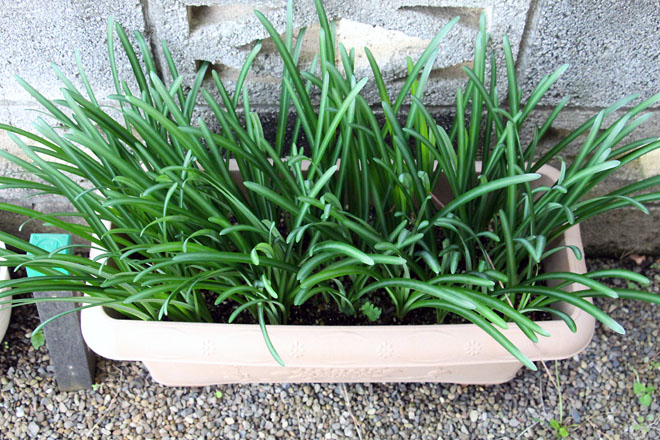 f:id:takahikonojima:20211028070020j:plain