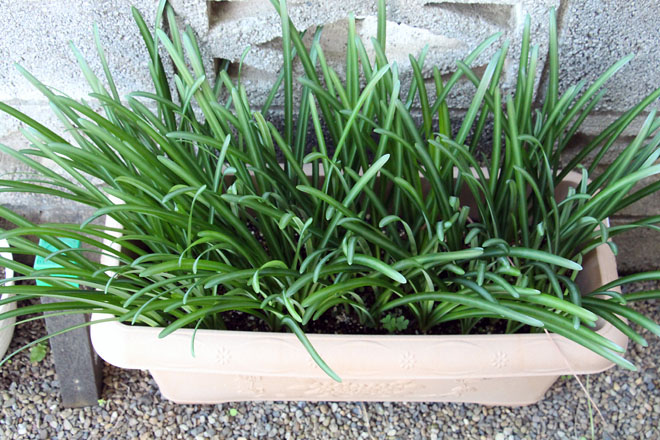 f:id:takahikonojima:20211029074608j:plain