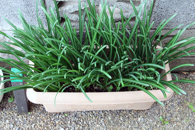 f:id:takahikonojima:20211031081936j:plain