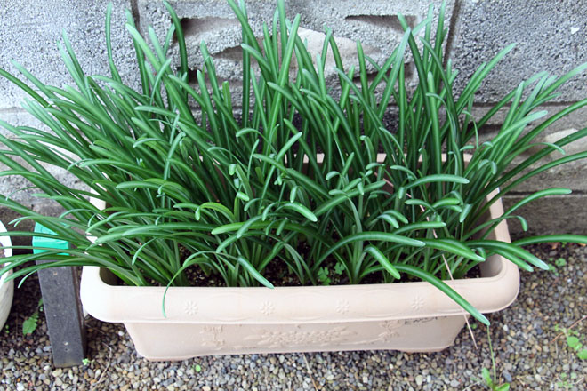 f:id:takahikonojima:20211101081919j:plain