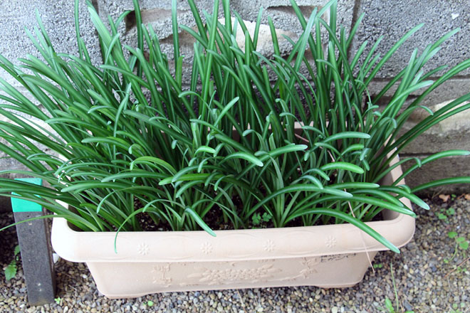 f:id:takahikonojima:20211102073647j:plain