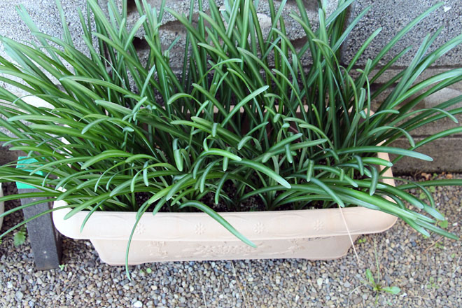 f:id:takahikonojima:20211104094316j:plain