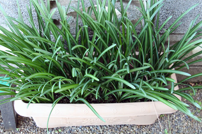 f:id:takahikonojima:20211105081459j:plain