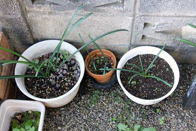 f:id:takahikonojima:20211106080721j:plain