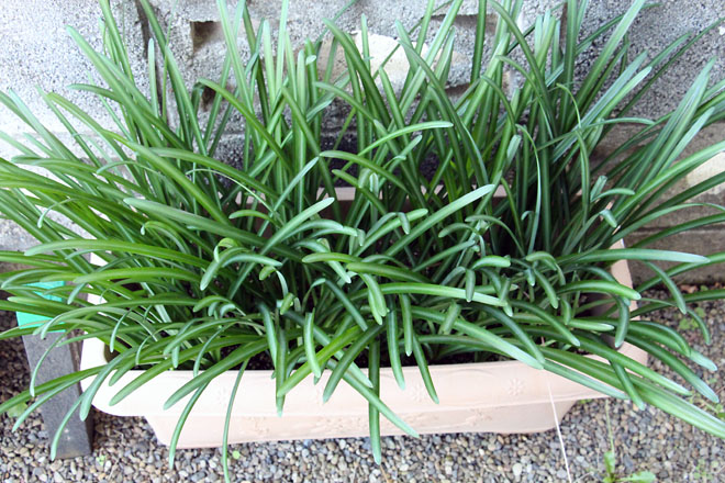 f:id:takahikonojima:20211106080725j:plain