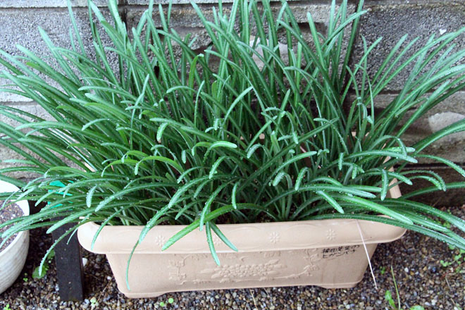 f:id:takahikonojima:20211109094414j:plain