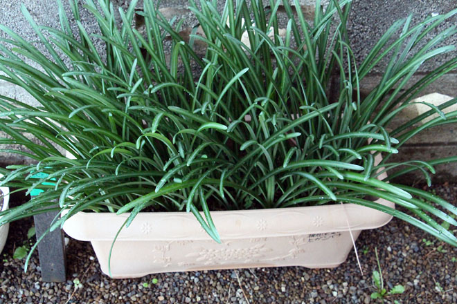 f:id:takahikonojima:20211110063015j:plain