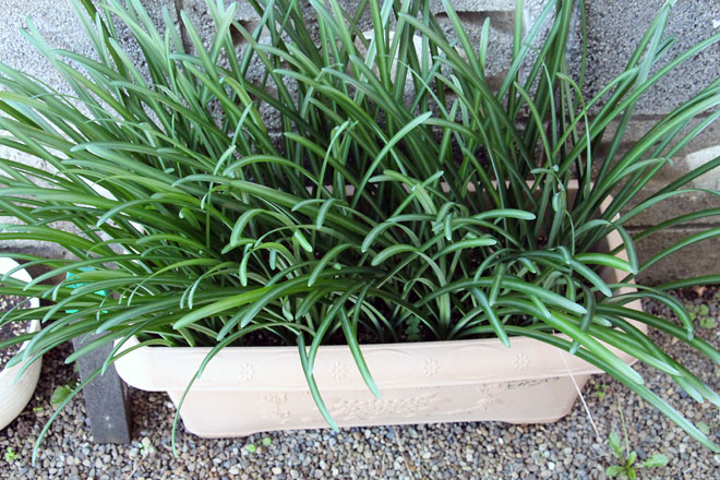 f:id:takahikonojima:20211112084650j:plain