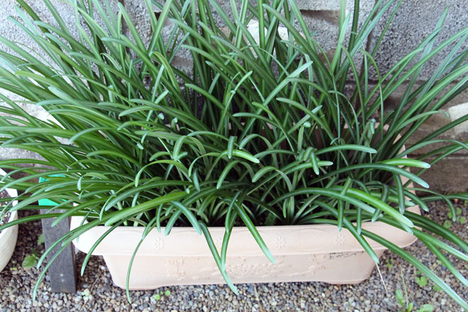 f:id:takahikonojima:20211113081948j:plain