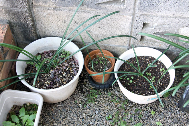 f:id:takahikonojima:20211128072940j:plain