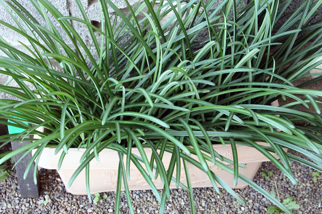 f:id:takahikonojima:20211128072943j:plain