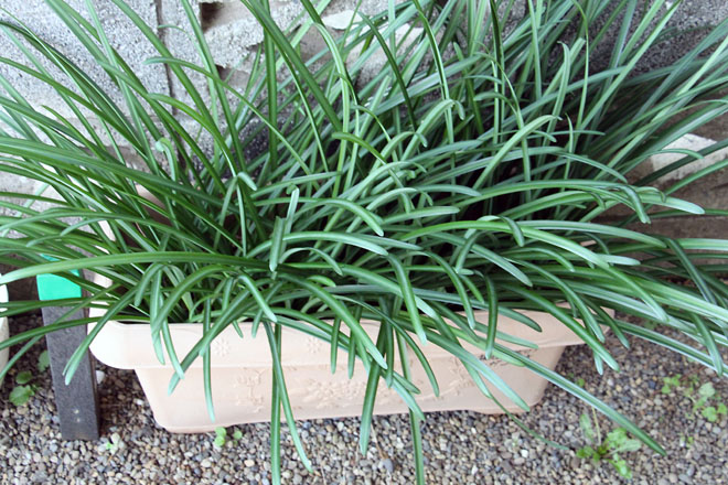 f:id:takahikonojima:20211129074606j:plain