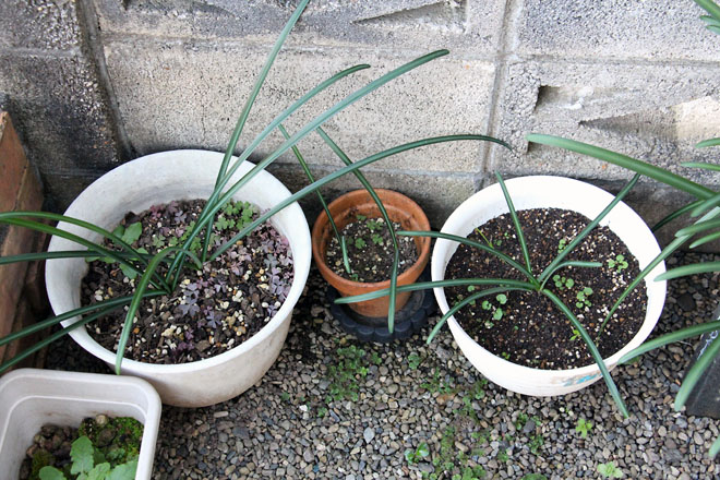 f:id:takahikonojima:20211130072114j:plain