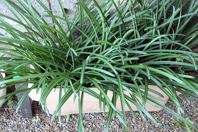 f:id:takahikonojima:20211130072118j:plain