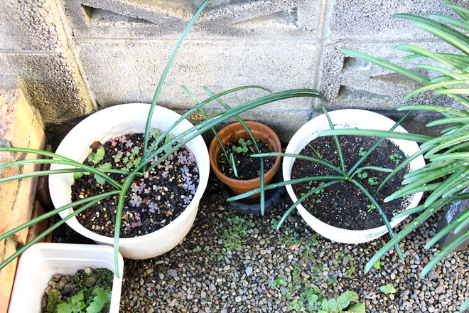 f:id:takahikonojima:20211201124713j:plain