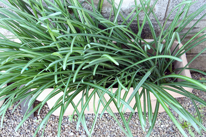 f:id:takahikonojima:20211203080322j:plain