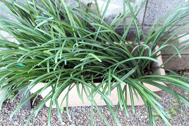 f:id:takahikonojima:20211204082341j:plain