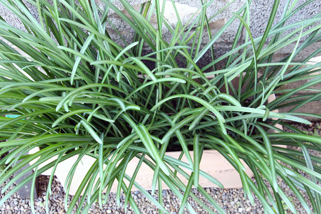 f:id:takahikonojima:20211205080138j:plain