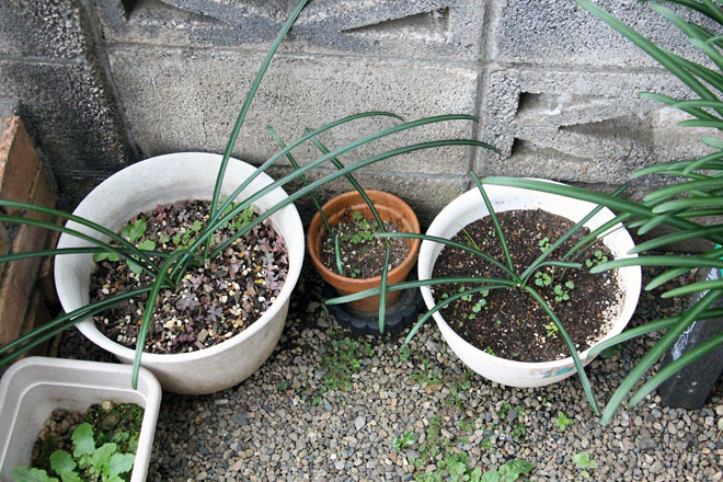 f:id:takahikonojima:20211206071710j:plain