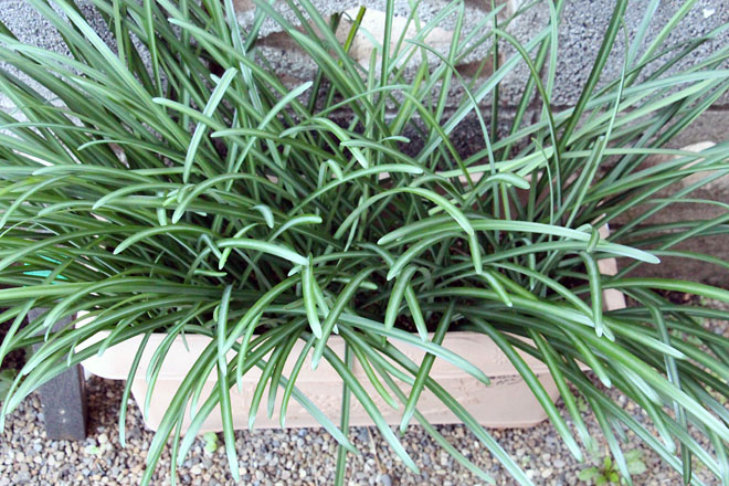 f:id:takahikonojima:20211207072939j:plain