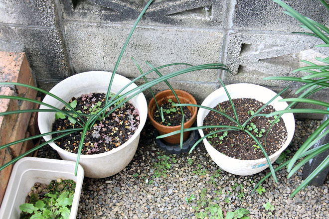 f:id:takahikonojima:20211210074427j:plain