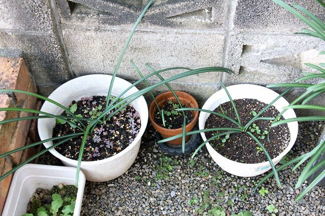 f:id:takahikonojima:20211211075538j:plain