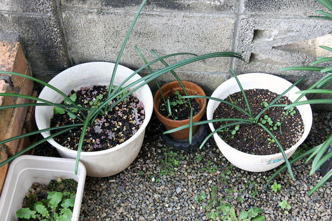 f:id:takahikonojima:20211212075343j:plain