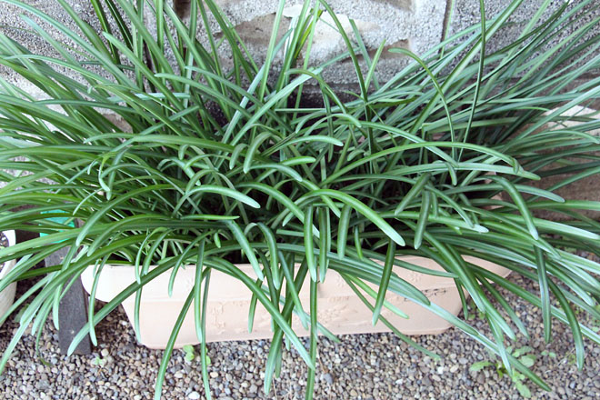 f:id:takahikonojima:20211213073844j:plain