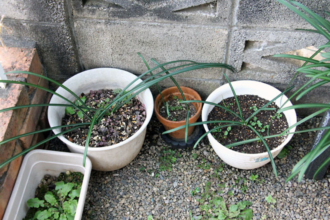 f:id:takahikonojima:20211214073509j:plain