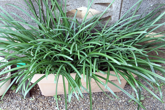 f:id:takahikonojima:20211214073511j:plain