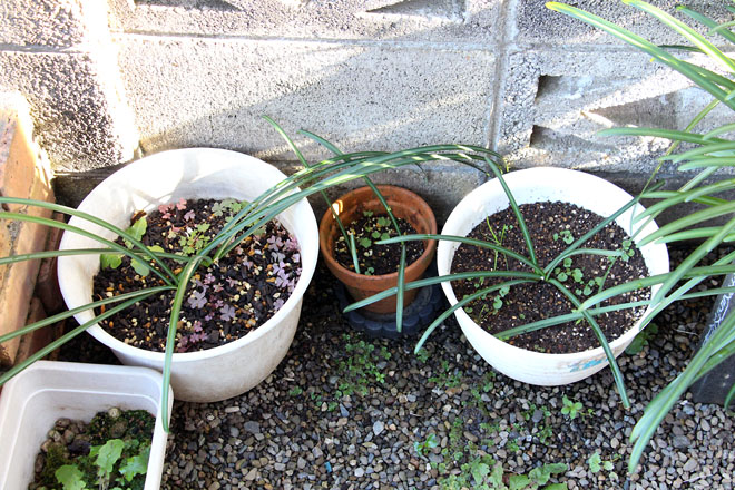 f:id:takahikonojima:20211215141150j:plain