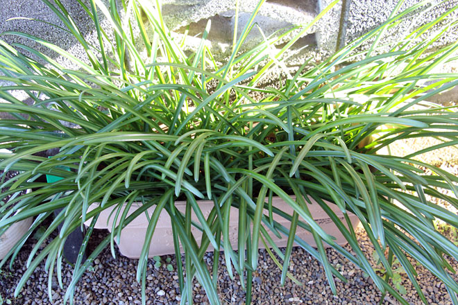 f:id:takahikonojima:20211215141154j:plain