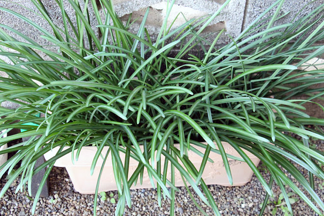 f:id:takahikonojima:20211216075025j:plain