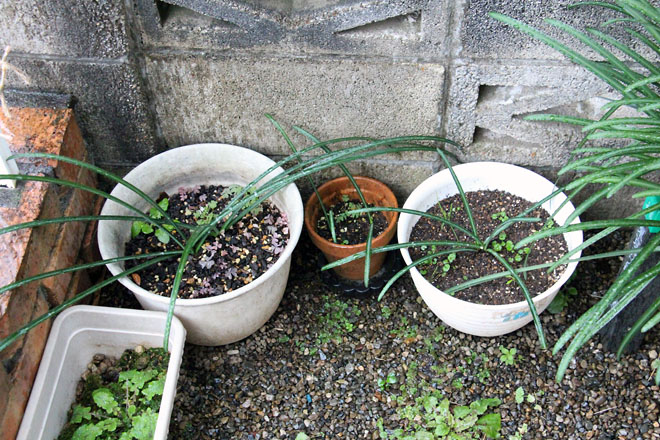 f:id:takahikonojima:20211217072704j:plain