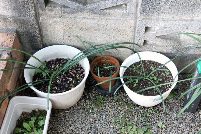 f:id:takahikonojima:20211218073747j:plain