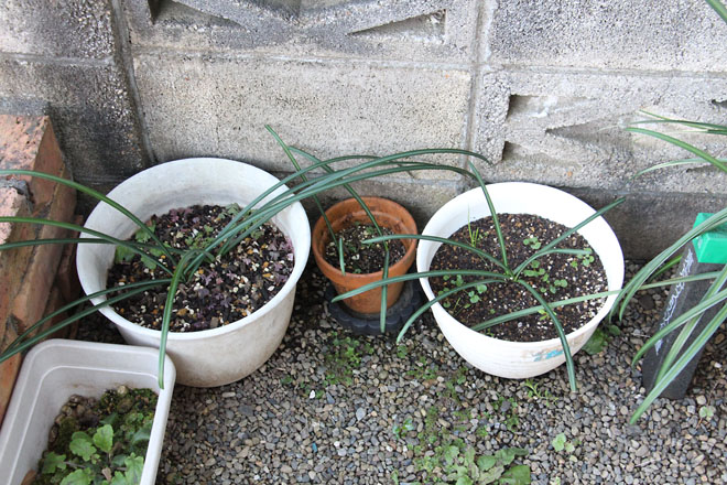 f:id:takahikonojima:20211219074256j:plain