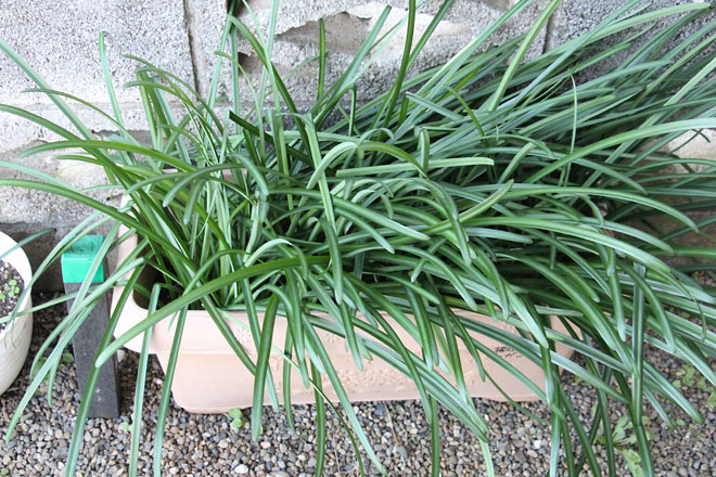 f:id:takahikonojima:20211219074259j:plain