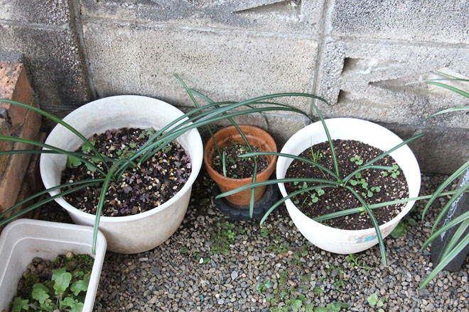 f:id:takahikonojima:20211220071322j:plain