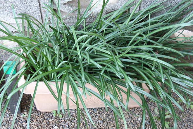 f:id:takahikonojima:20211220071325j:plain