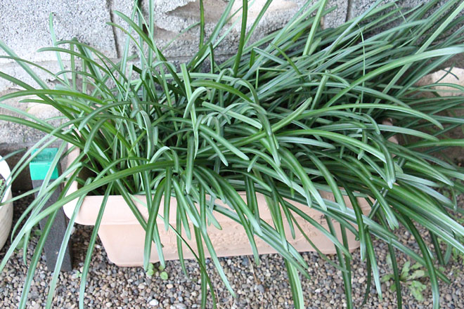 f:id:takahikonojima:20211222071731j:plain