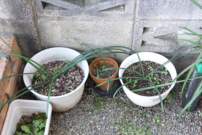 f:id:takahikonojima:20211223104815j:plain