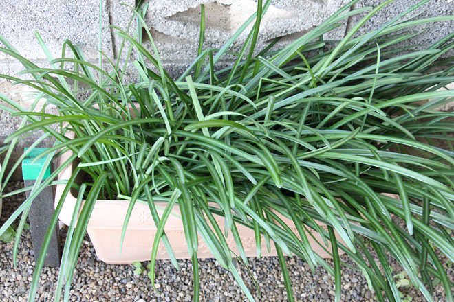 f:id:takahikonojima:20211224080242j:plain