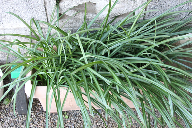 f:id:takahikonojima:20211227081812j:plain