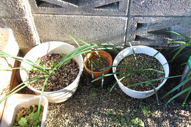 f:id:takahikonojima:20211228140909j:plain