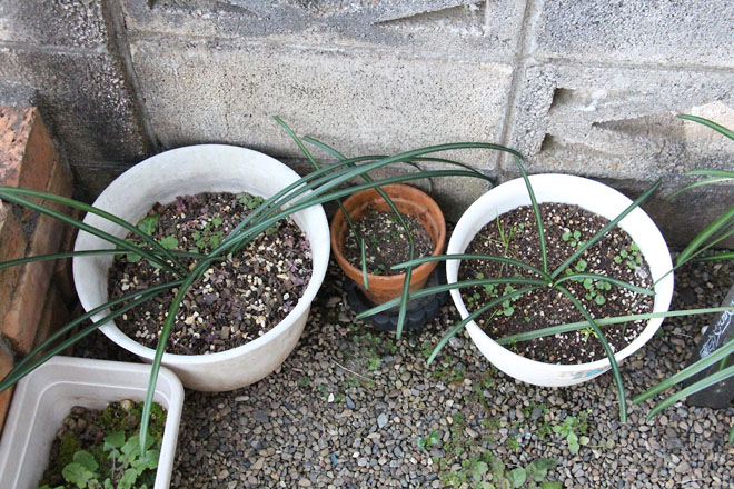 f:id:takahikonojima:20211230072057j:plain