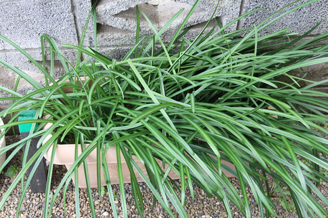 f:id:takahikonojima:20211231113807j:plain