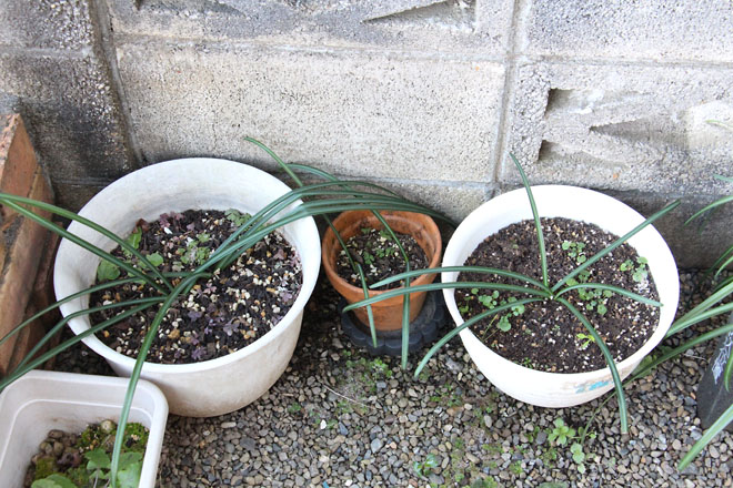 f:id:takahikonojima:20220109082330j:plain